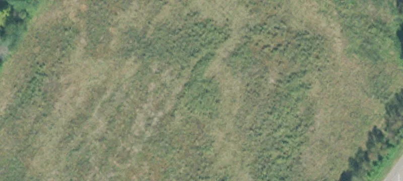 Agricultural Land Parcel