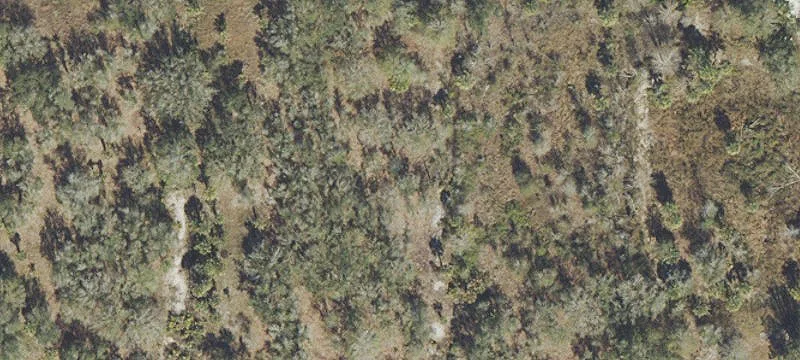 Agricultural Land Tract with Road Easement