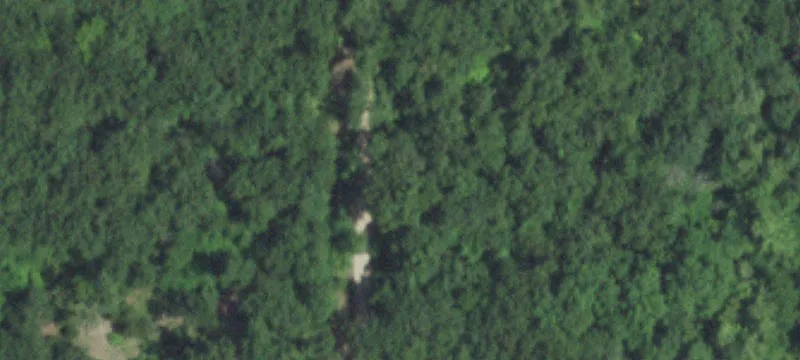 Wooded Recreational Land Tract
