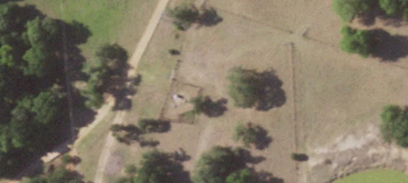 Heavily Wooded Hunting Tract