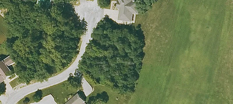Treed Golf Course Lot
