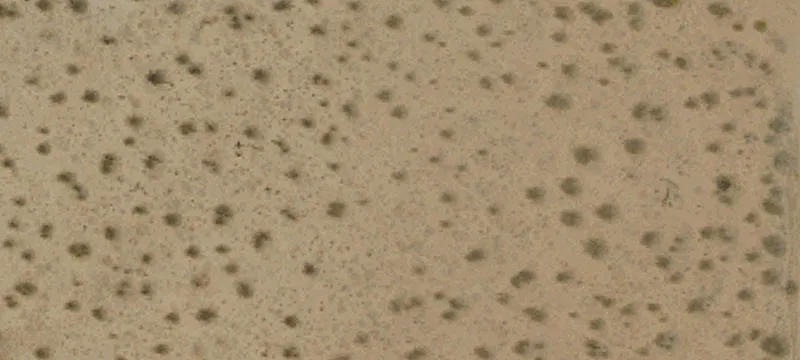 Rural Desert Land Parcel