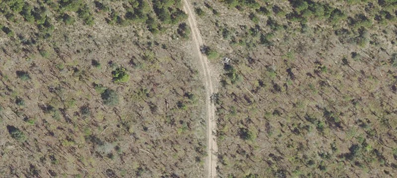 Wooded Homesite Acreage