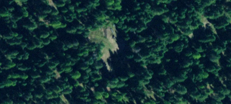 Timbered Mountain Estate Lot