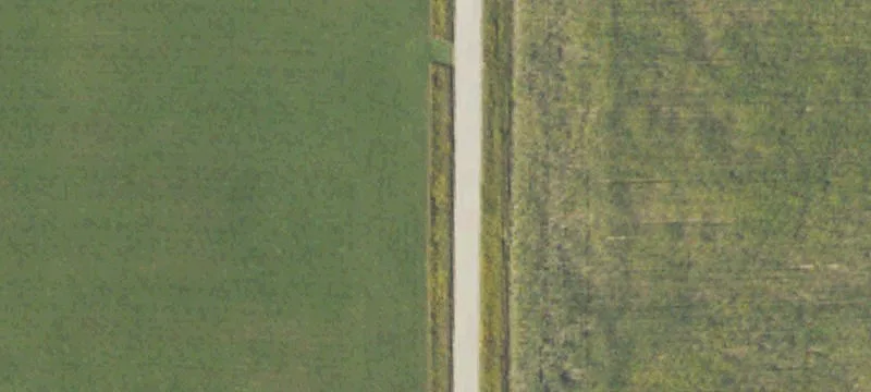 Dairy Farm with Tillable Acreage