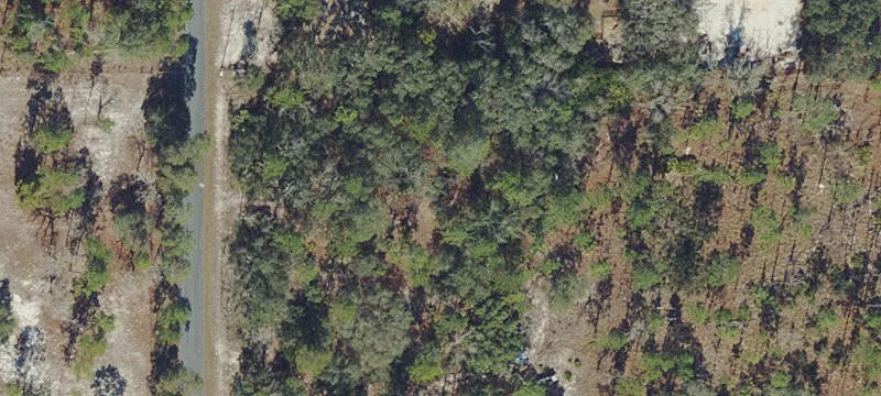 Paved-Road Homesite Acreage