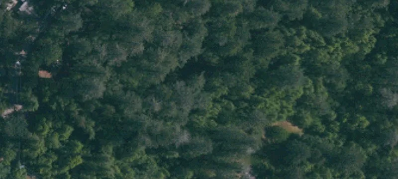 Private Wooded Home Lot