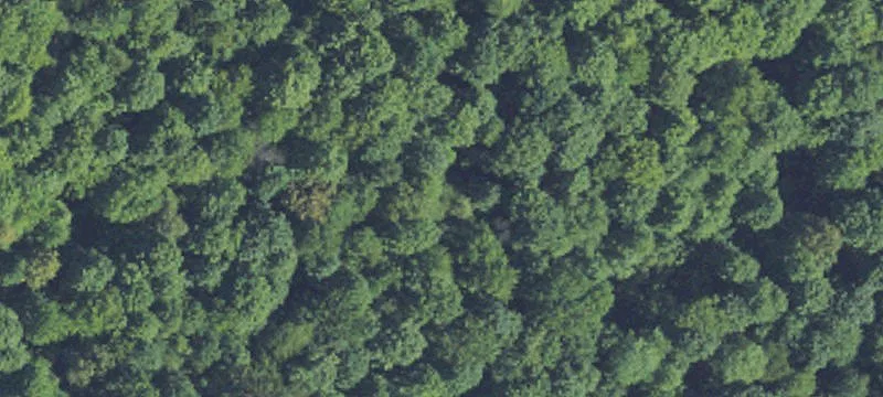 Wooded Recreational Parcel with Pole Building