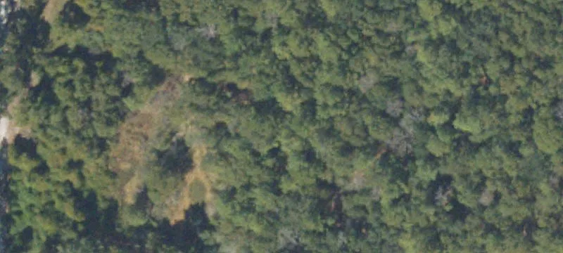Pecan Orchard Land