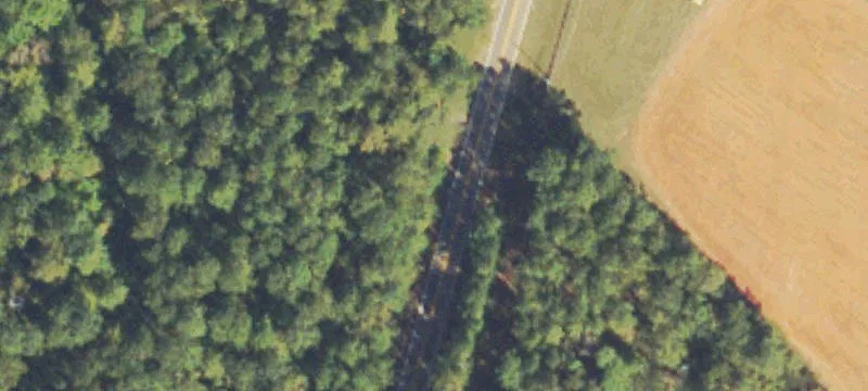 Spring-Fed Hunting Land Tract