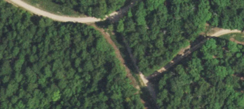 Wooded Waterfront Land Parcel