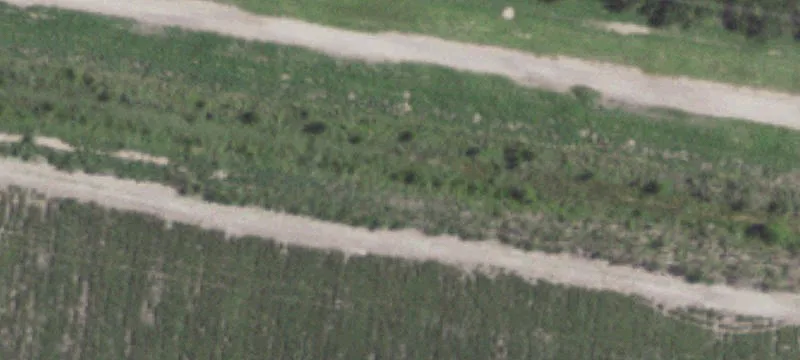 Agricultural Land Corner Tract