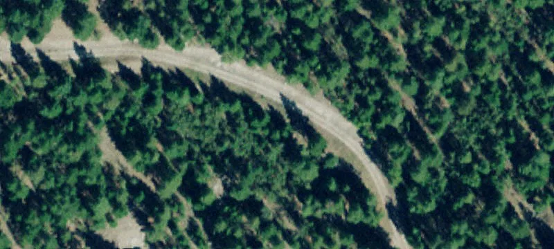Acreage with Mountain Views and Cabins