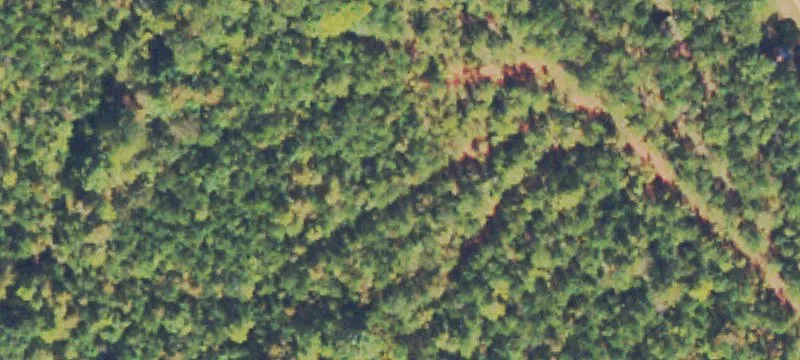 Agricultural Farmland Tract
