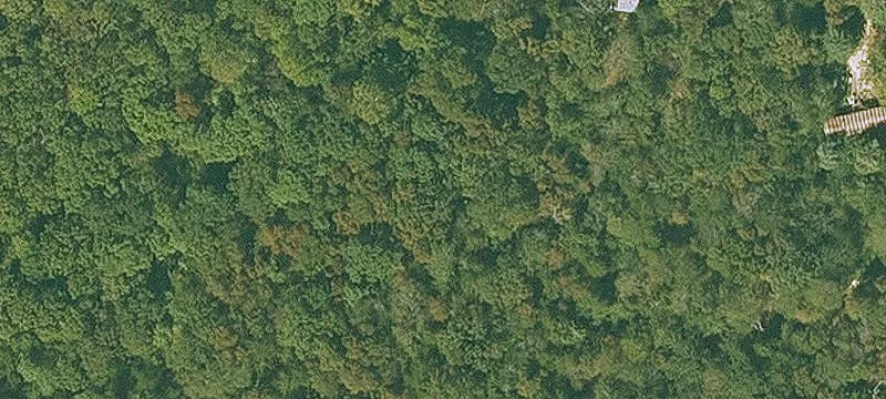 Wooded Recreational Land Tract