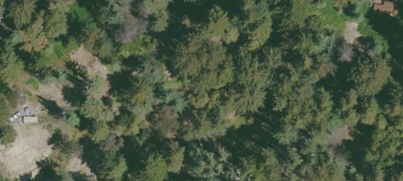 Residential Homesite in Redwood Setting
