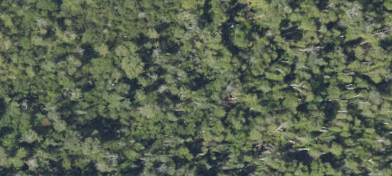 Wooded Hunting Land Parcel