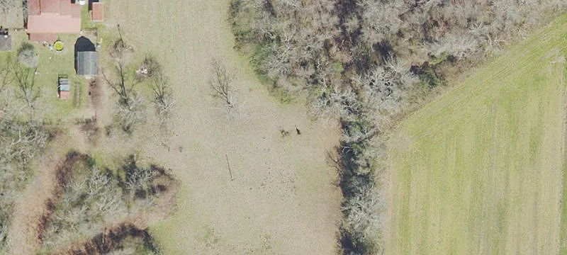 Freedom-Style Ag Land Parcel