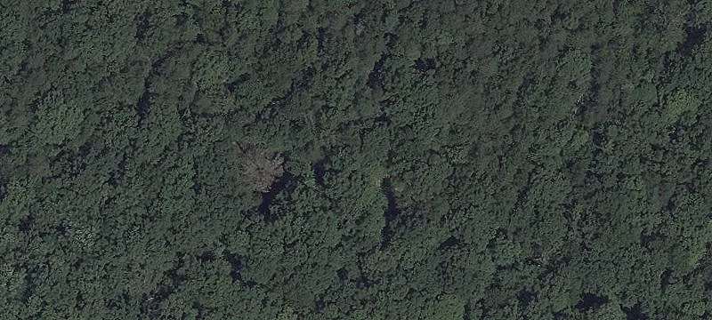 Estate Lot in Custom Home Community