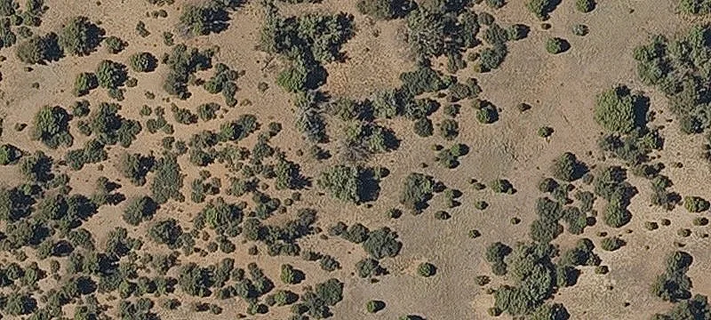 Forest-Backing Land Parcel with Views