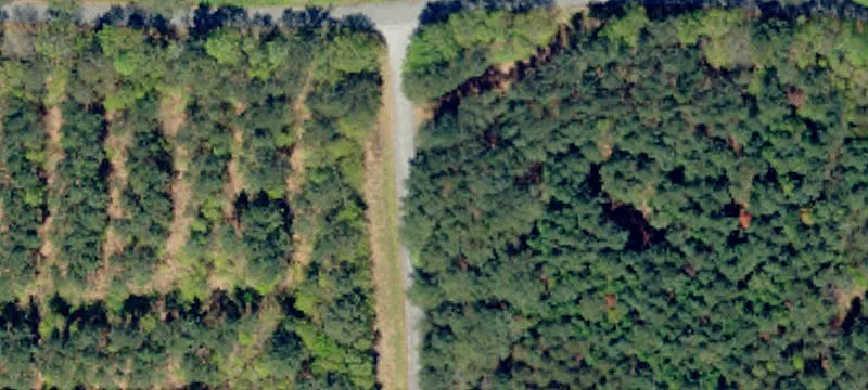 Residential Land for Custom Home