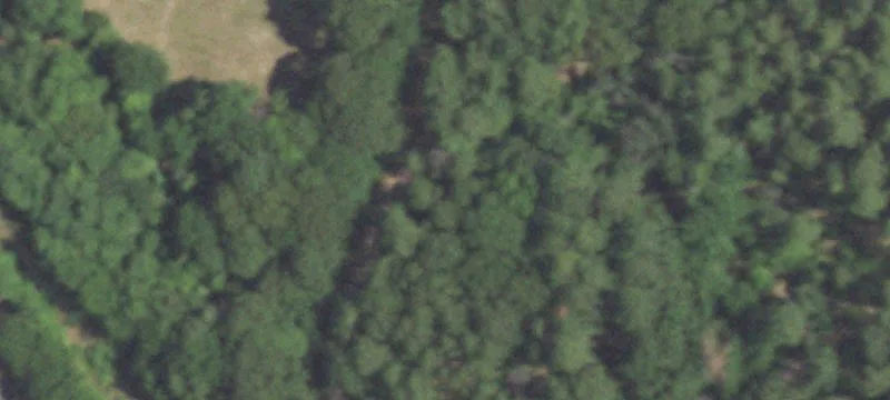 Gated Farmland Tract off SH 110