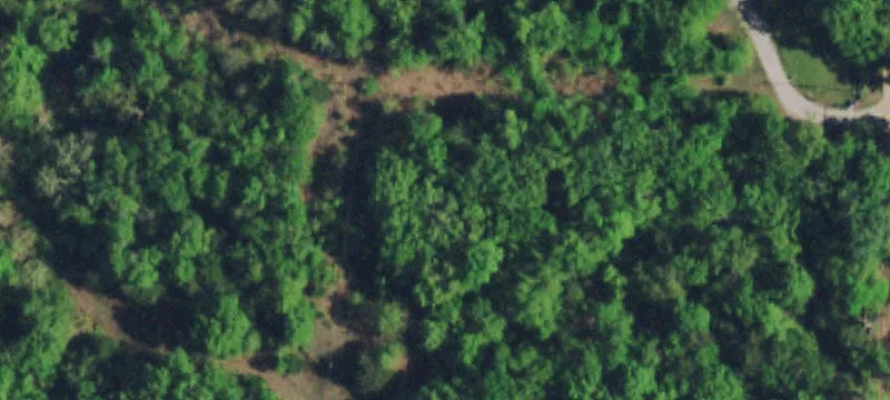 Hunting Land Parcel