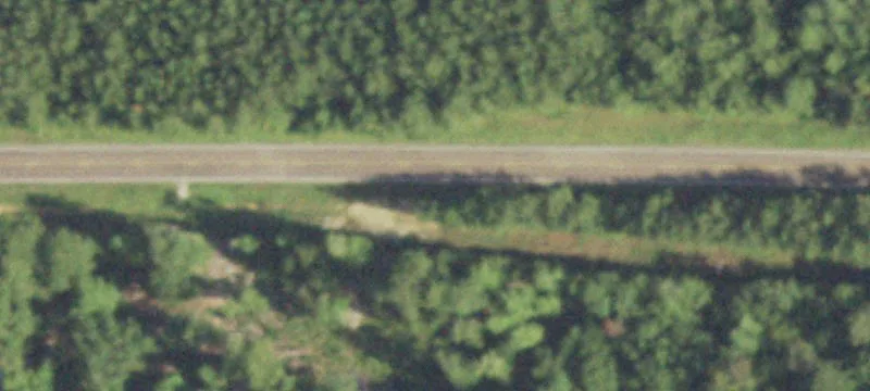 Ranch Land with Home and Pasture
