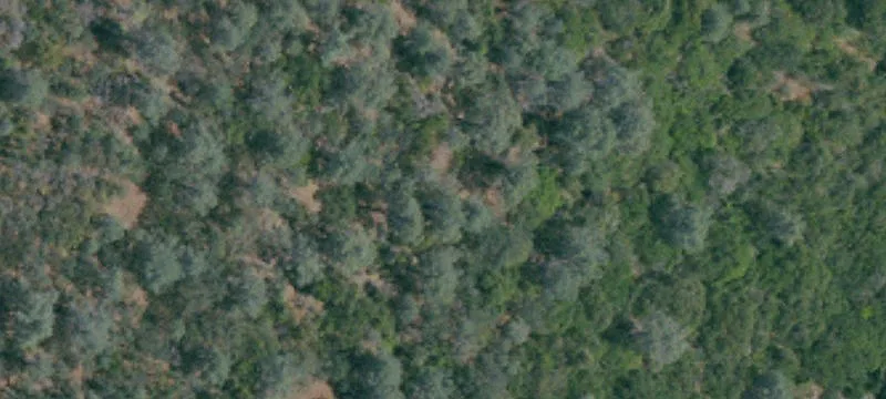 Lake View Waterfront Land Parcel