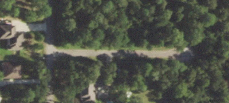 Wooded Corner Residential Lot