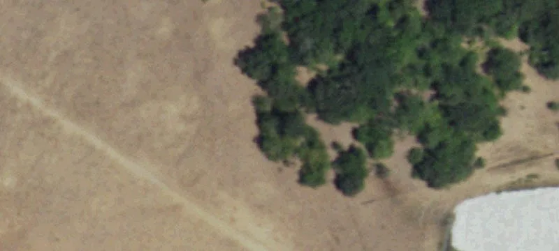 Rural Acreage with Pasture and Creek