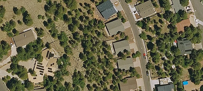 Residential Homesite with Pine Trees