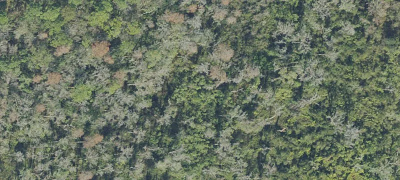 Residential-Agriculture Land Parcel