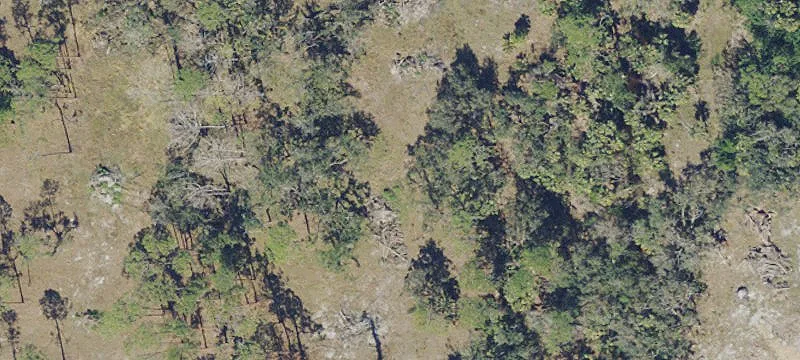 Waterfront Development Land with Gulf Access