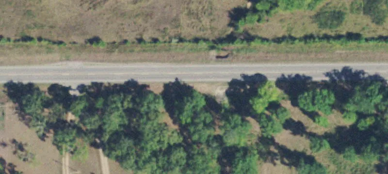 Farmland Tract for Sale