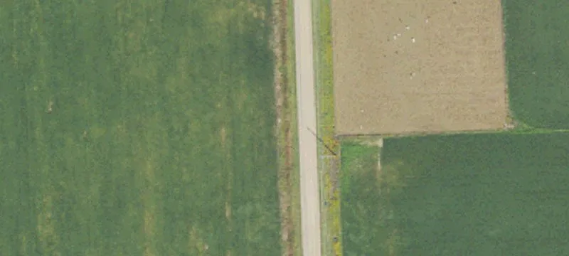 Recreational Timber Land Parcel