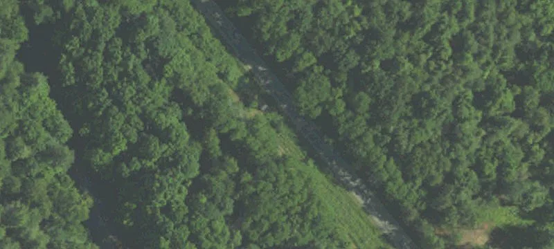 Wooded Recreational Hunting Land