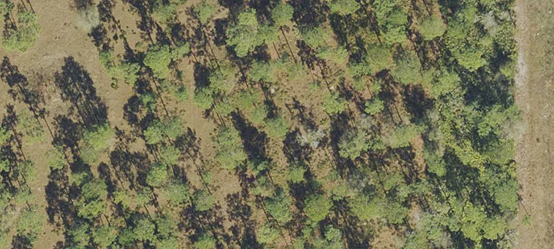 Zoned Agricultural Land with Barn