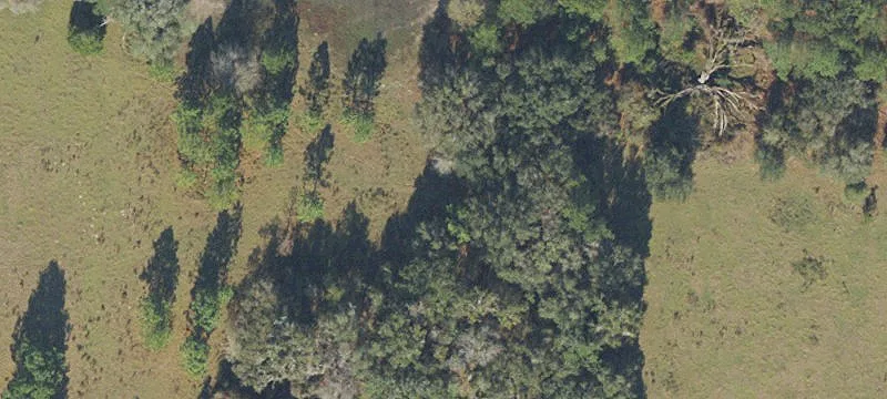 Vacant Agricultural Lot Adjacent