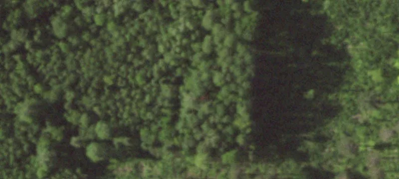 Wooded Recreation Land Parcel