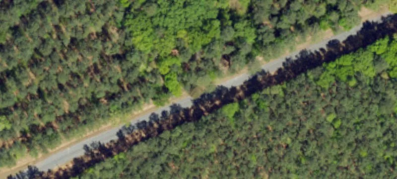 Recreational Timberland Tract