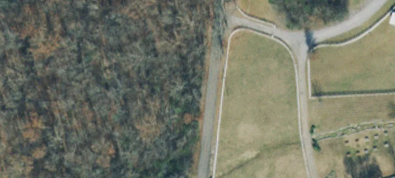 Wooded Residential Development Tract