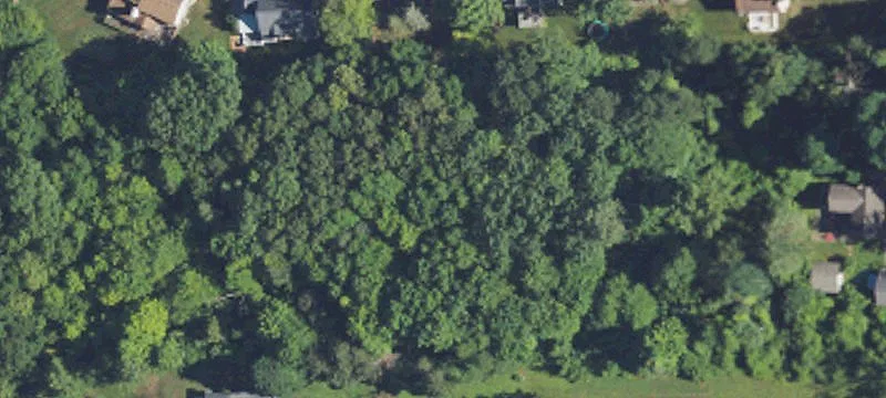 Wooded Residential Development Land