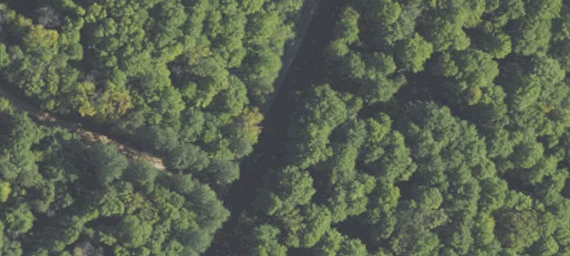 Driveway-Ready Wooded Land Parcel