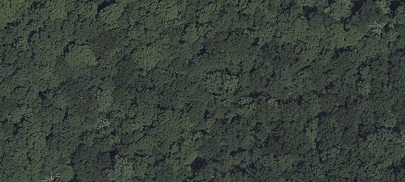 Undeveloped Development Site