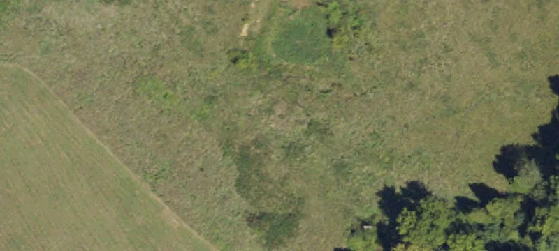 Auction Tract Hunting and Farm Land