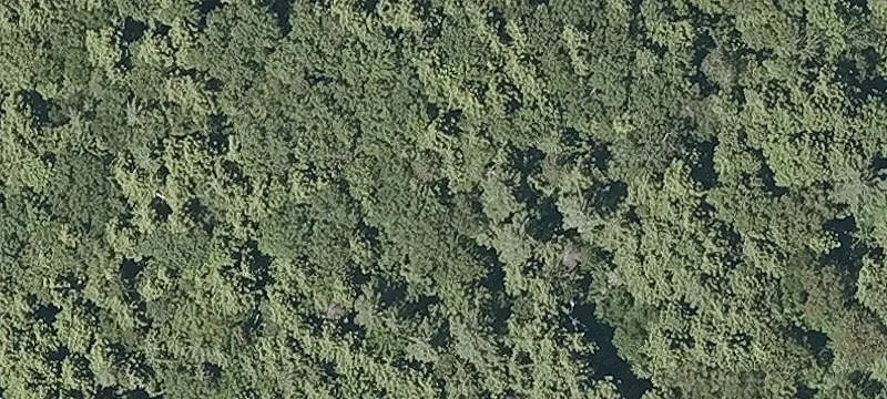 Waterfront Land Parcel with River Frontage
