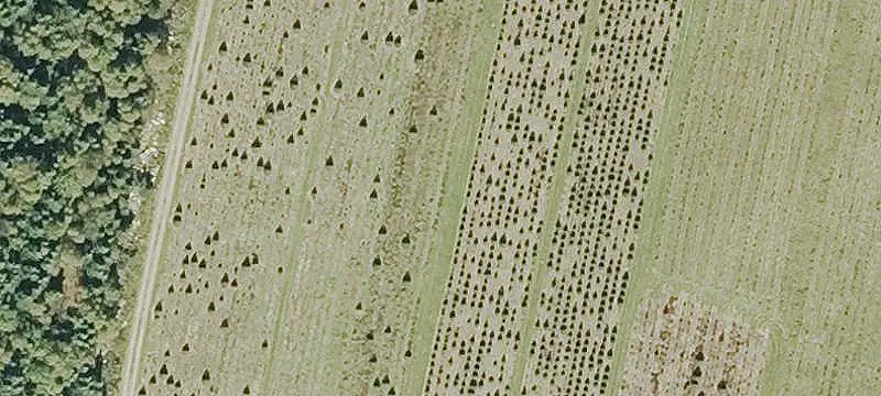 Country Homebuilding Parcel