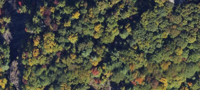 Gently Sloping Mountain Homesite