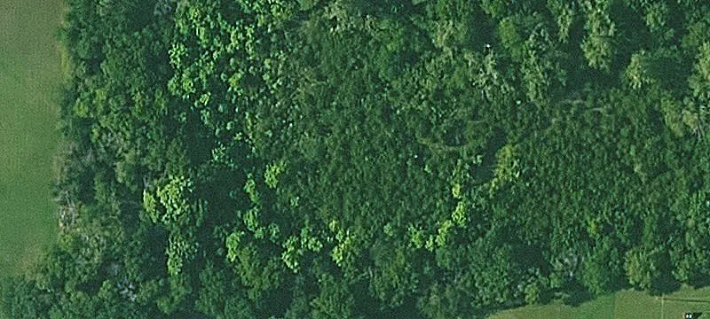 Treed Residential Building Lot
